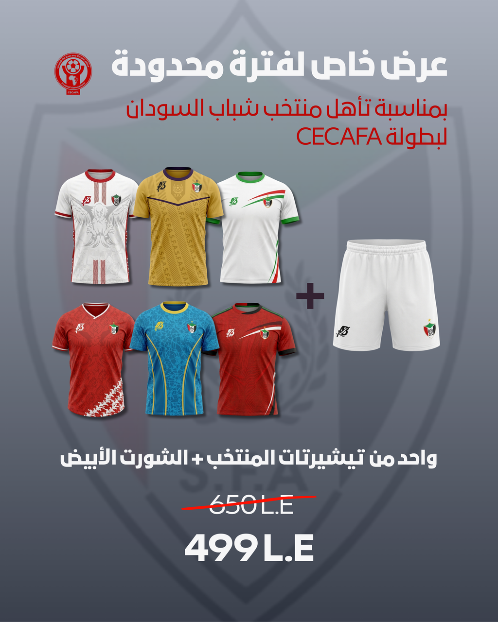 Limited offer bundle